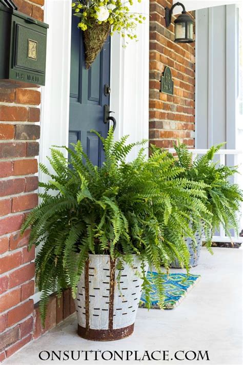 Flower Pots That Will Make Your Porch Farmtastic The