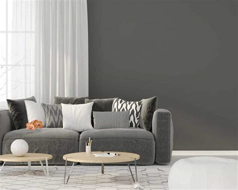 What Color Carpet Goes With Chocolate Brown Furniture - what color carpet goes with dark brown sofa