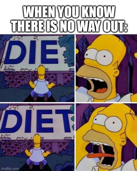 Homer Diet Imgflip
