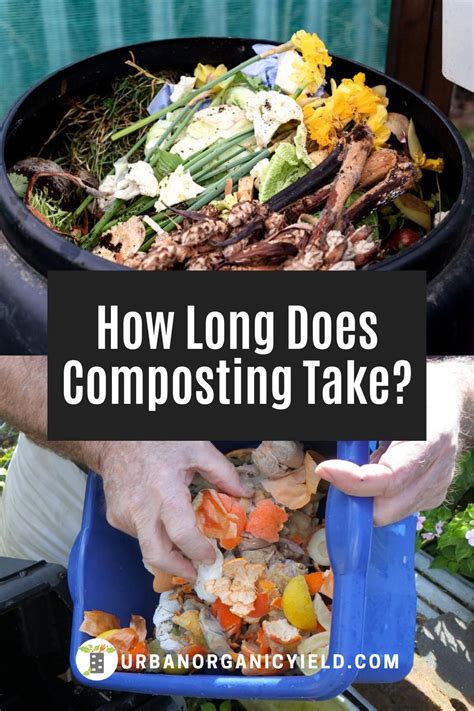 Molded by dry desert climates, they don't require much water or care and can survive extreme weather conditions. How Long Does It Take to Compost in 2020 | Compost, Diy ...