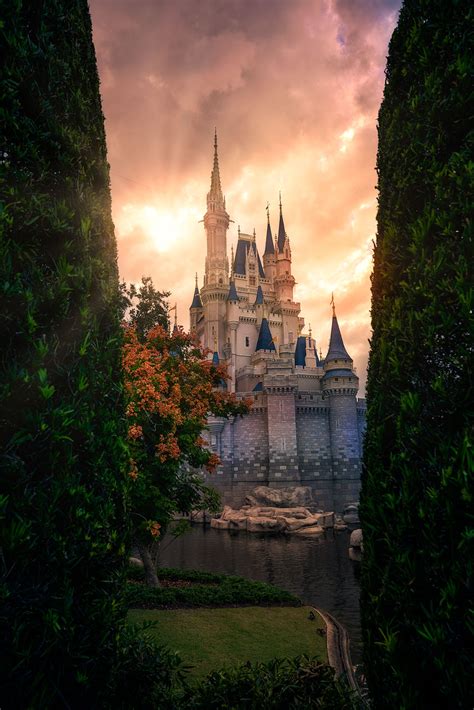 Cinderella Castle Sunset Between Two Trees — Matthew Cooper Photography