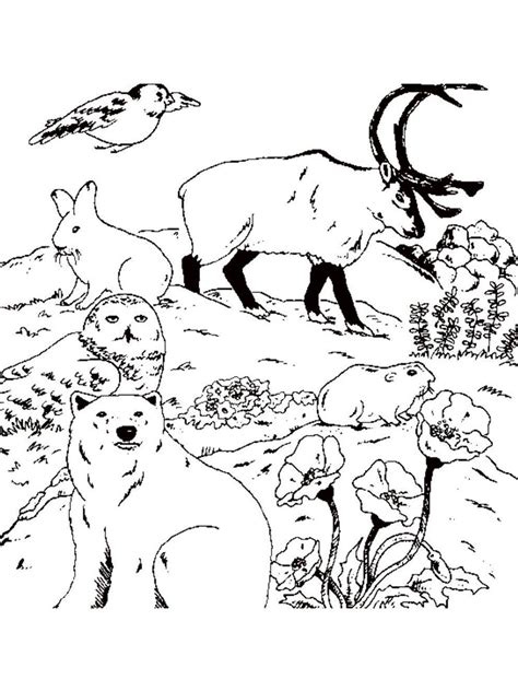 Free Forest Animals Coloring Pages Download And Print