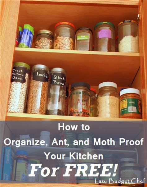 How to get rid of food moths. How to Use Free Mason Jars as Kitchen Organizers | Kitchen ...