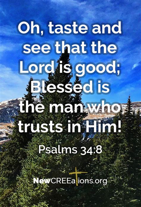 Experience Gods Goodness Psalms 348 Psalms Bible Psalms