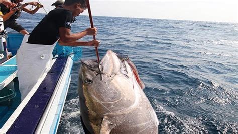 Amazing Fastest Giant Bluefin Tuna Fishing Skill Catching And