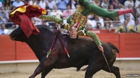 Catalonias Bullfight Ban Provokes Emotional Response Bbc News