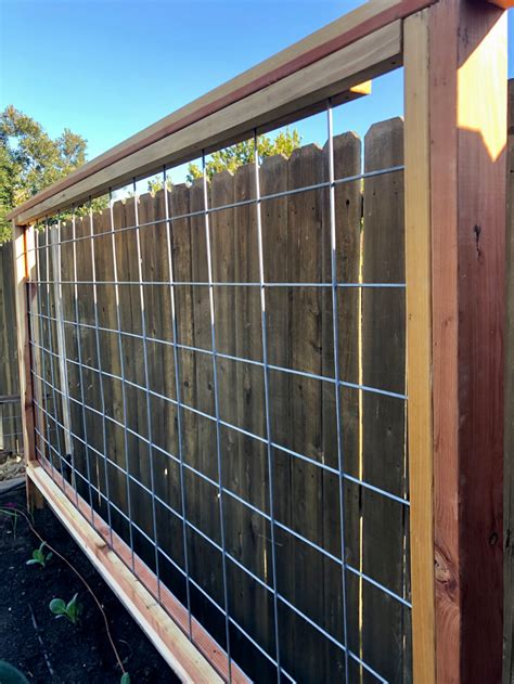Diy Cattle Panel Garden Trellis Without A Router Easy Step By Step