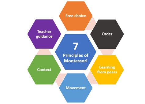 What Is Montessori Seven Principles The Montessori School Of Mallorca