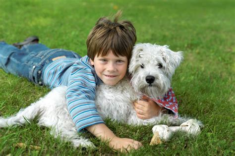 Sadly, the attitude of many muslims towards dogs often alienates people from islam. Can I have a dog?