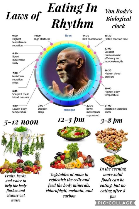 His belief was that these could heal the body from decaying and aging over time. how to eat clean Dr. Sebi | Alkaline diet, Alkaline diet ...