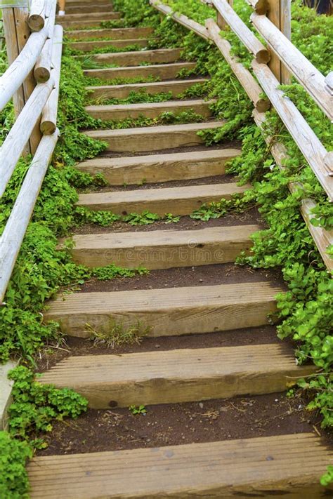 Stairs Up The Hill Stock Image Image Of Road Forest 35340623