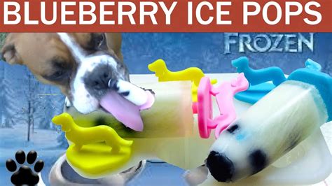 Frozen Blueberry Dog Ice Popsicle Lolly Ice Creampops Treats A