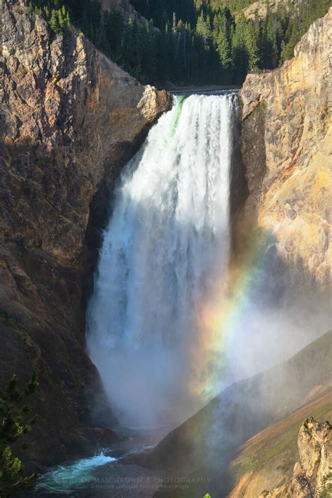 Rainbow Lower Falls Of The Yellowstone River Alan Majchrowicz Photography