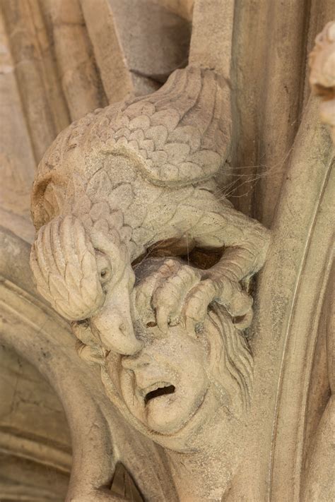 York Minster Grotesques Gargoyles Gothic Gargoyles Architectural