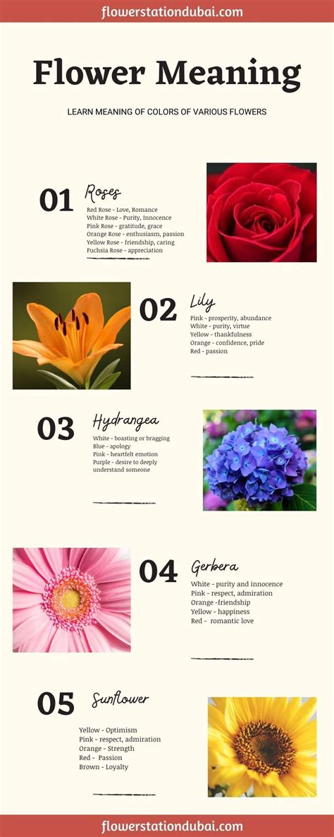 Meaning Of Various Flowers Colors Flower Meanings Color Meanings