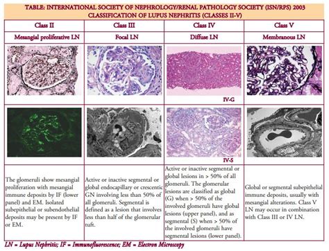 Classification Of Lupus Nephiritis Table