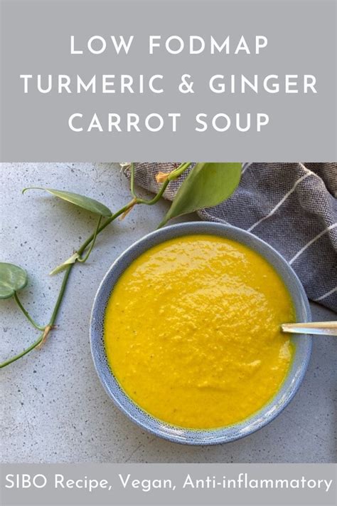 Low Fodmap Carrot Ginger Soup Vegan Artofit