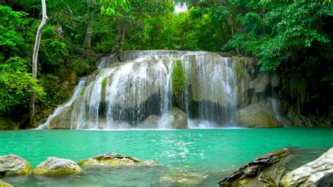 Calming Forest Tropical Waterfalls Relaxing Nature Sounds Waterfall