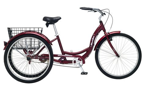 Popular 3 Wheel Bikes For Adults To Enjoy Traveling Monarch