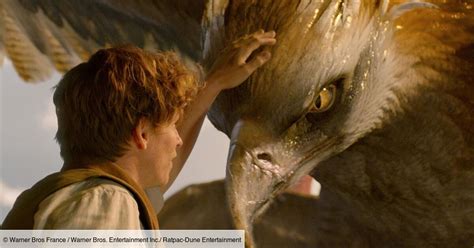 Les Animaux fantastiques