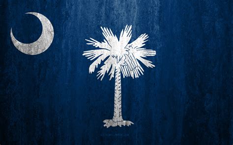 Download Wallpapers Flag Of South Carolina 4k Stone Background