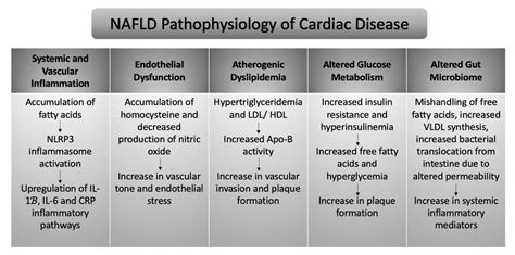 Jcdd Free Full Text Comprehensive Review Of Cardiovascular Disease Risk In Nonalcoholic