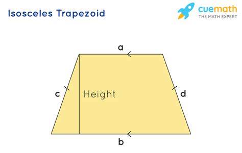 Which Best Describes The Sides Of Any Trapezoid