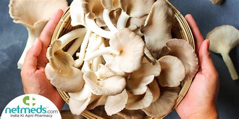 King Oyster Mushroom Nutritional Value Besto Blog