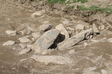 archaeologists find prehistoric burial site in criccieth