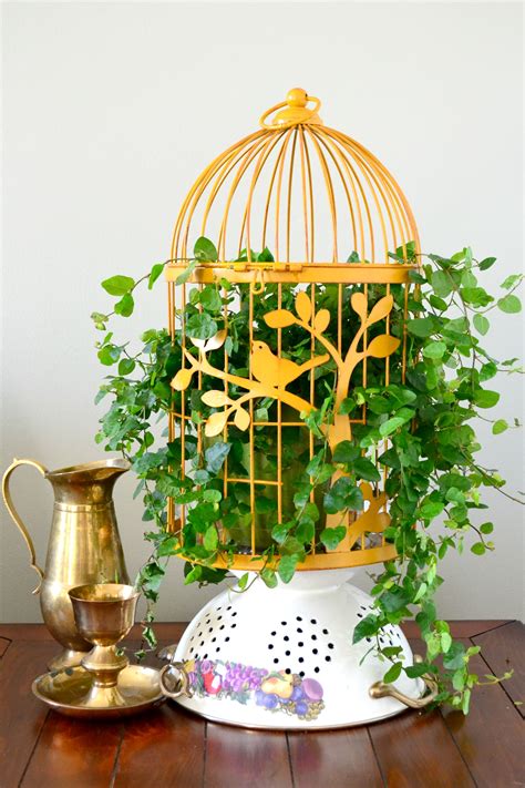 Bird Cage Planters Are Fun And Eye Catching Decor For Your Garden