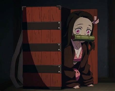 Nezuko Kamado In Box Animewpapers Demon Slayer