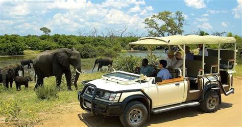 Zambia And Botswana Safari Tour Zambezi And Chobe Package