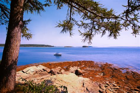 Mackworth Island In Falmouth Maine Etravelmaine