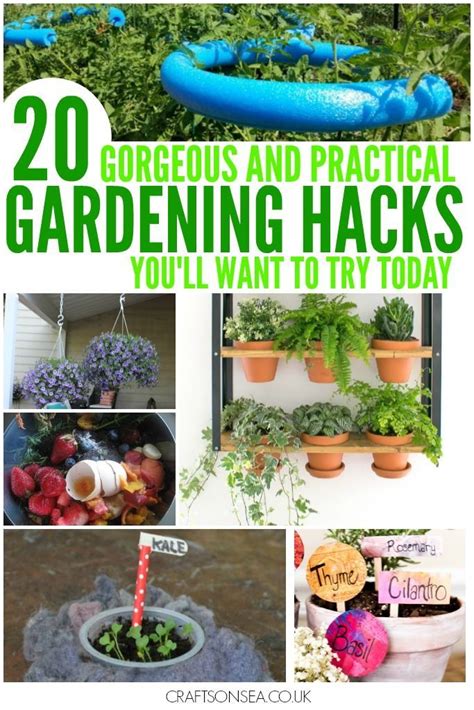 i love these gardening hacks brilliant ideas to help you save money