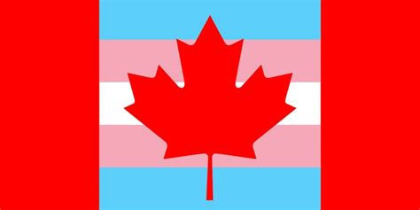 Canadas Trans Rights Law And The Story Of David Tilson