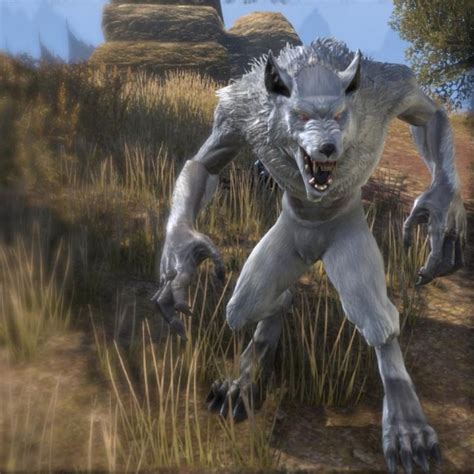 Eso Guide How To Become White Werewolf