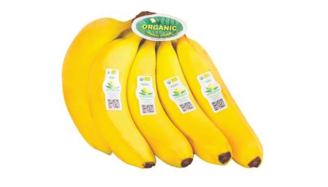 Organic Banana Sol De Olmos