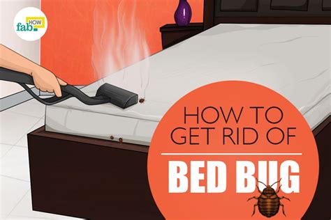 How To Get Rid Of Bed Bugs Fast And Permanently Make Your Own Spray