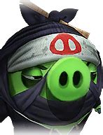 Angry birds the video game: Ninja - Official Angry Birds Evolution Wiki