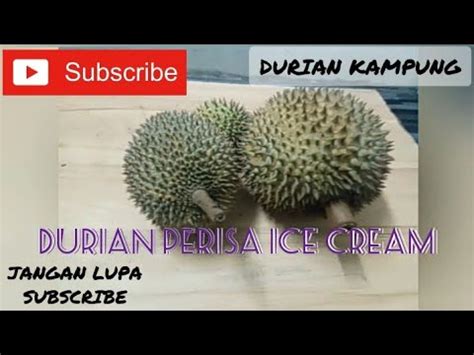 And while durian is not native to china, both china and hong kong are major import. DURIAN PERISA ICE CREAM - YouTube