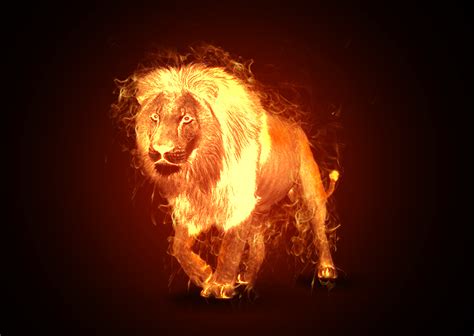 A Lion Made Out Of Fire Dream Animal Fire Lion Fire Art Lion