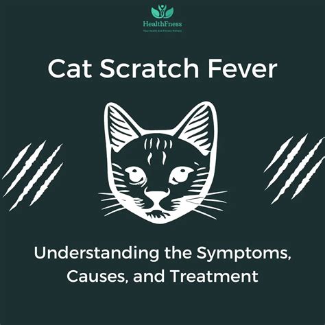 Cat Scratch Fever Navigating Its Hazards And Moving Towards Effective