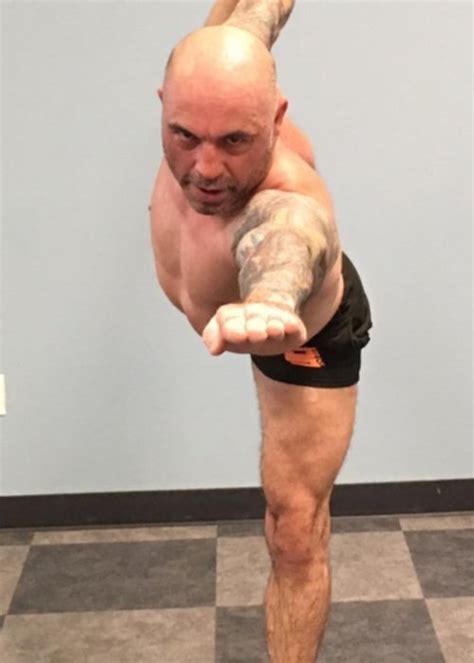 We have joe rogan height and weight here. Joe Rogan Height, Weight, Age, Body Statistics - Healthy Celeb