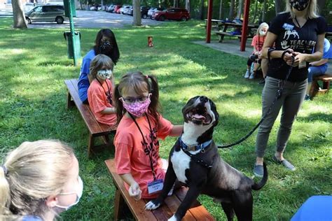 Learning And Camps Humane Society Of Macomb