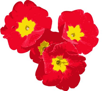 HD RED ROSE wallpaper in PNG format ~ background design