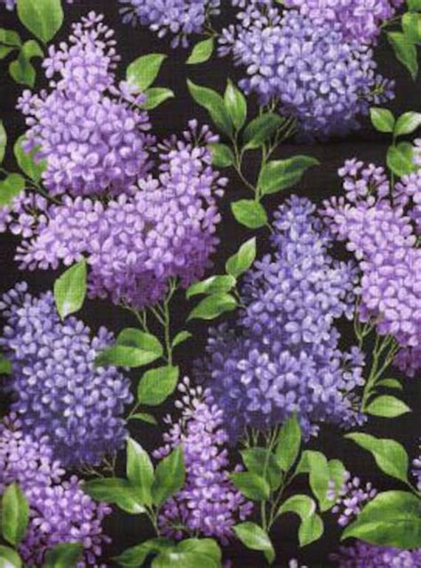 Lilac Quilt Fabric Pretty Purple Lilacs Flowers Rare Htf