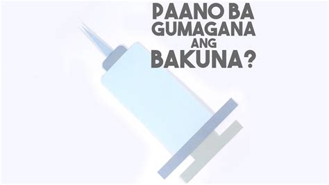 Ang Science Ng Bakuna Part 1 Paano Ba Gumagana Ang Bakuna Aghamazing Youtube