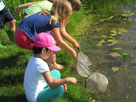 Outdoor Adventures Summer Nature Camps | St. Joseph County, IN