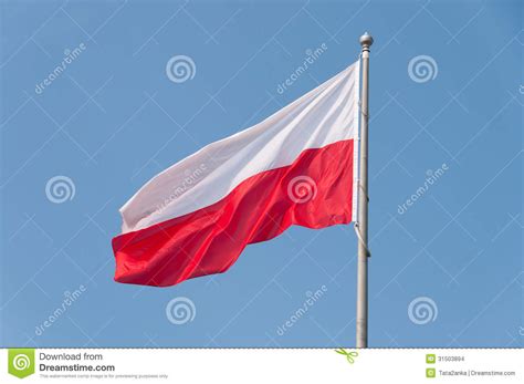 Polish Flag In The Sky Stock Photo Image Of Symbol Flowing 31503894