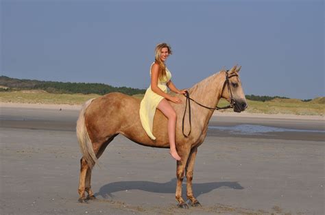 Free Images Beach Summer Female Horseback Stallion Equestrian